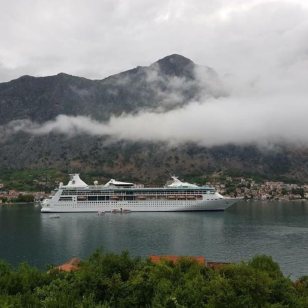 Villa "M Family" Kotor Eksteriør bilde